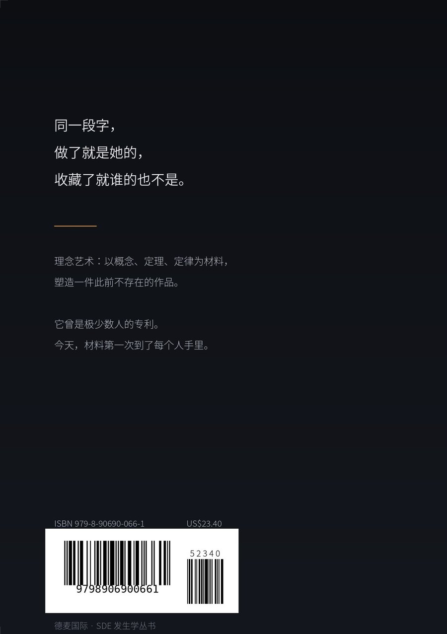《理念艺术的诞生与实践》封底