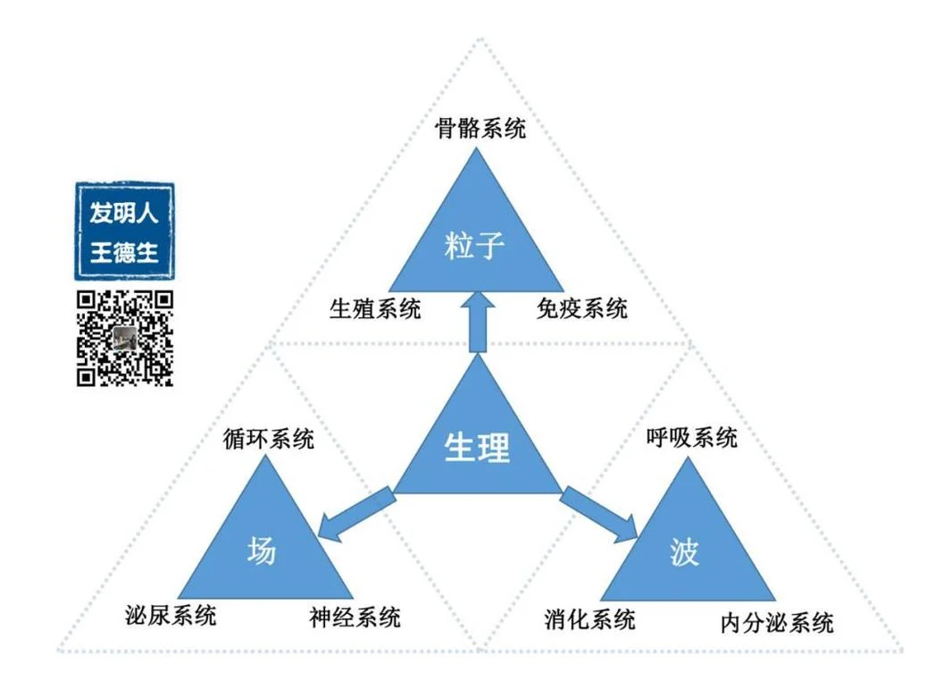 三视角九灯图:格物致知:原稿第3页原稿插图或图示