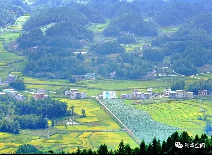 学习到底学什么?怎么学?:原稿第1页原稿插图或图示
