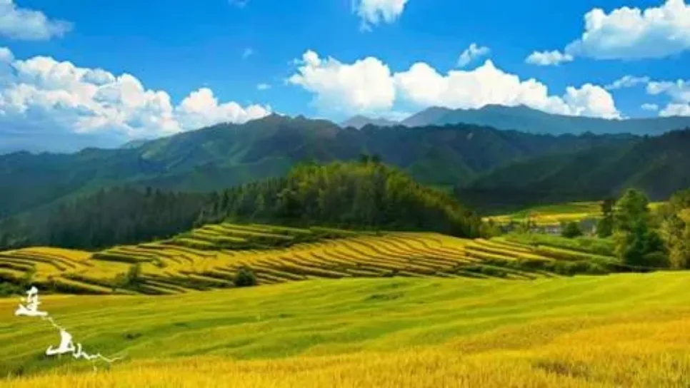 蚕人之美:与永恒之对话,原稿第3页插图